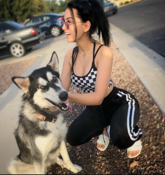 SSSniperwolf Parents, Family, Siblings