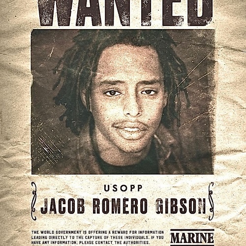 Jacob Romero Gibson net worth, One Piece, Usopp
